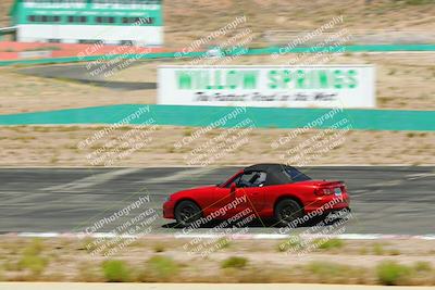 media/May-18-2022-Open Track Racing (Wed) [[f96b7d3cf4]]/3-Red/session 2/Willow pans/